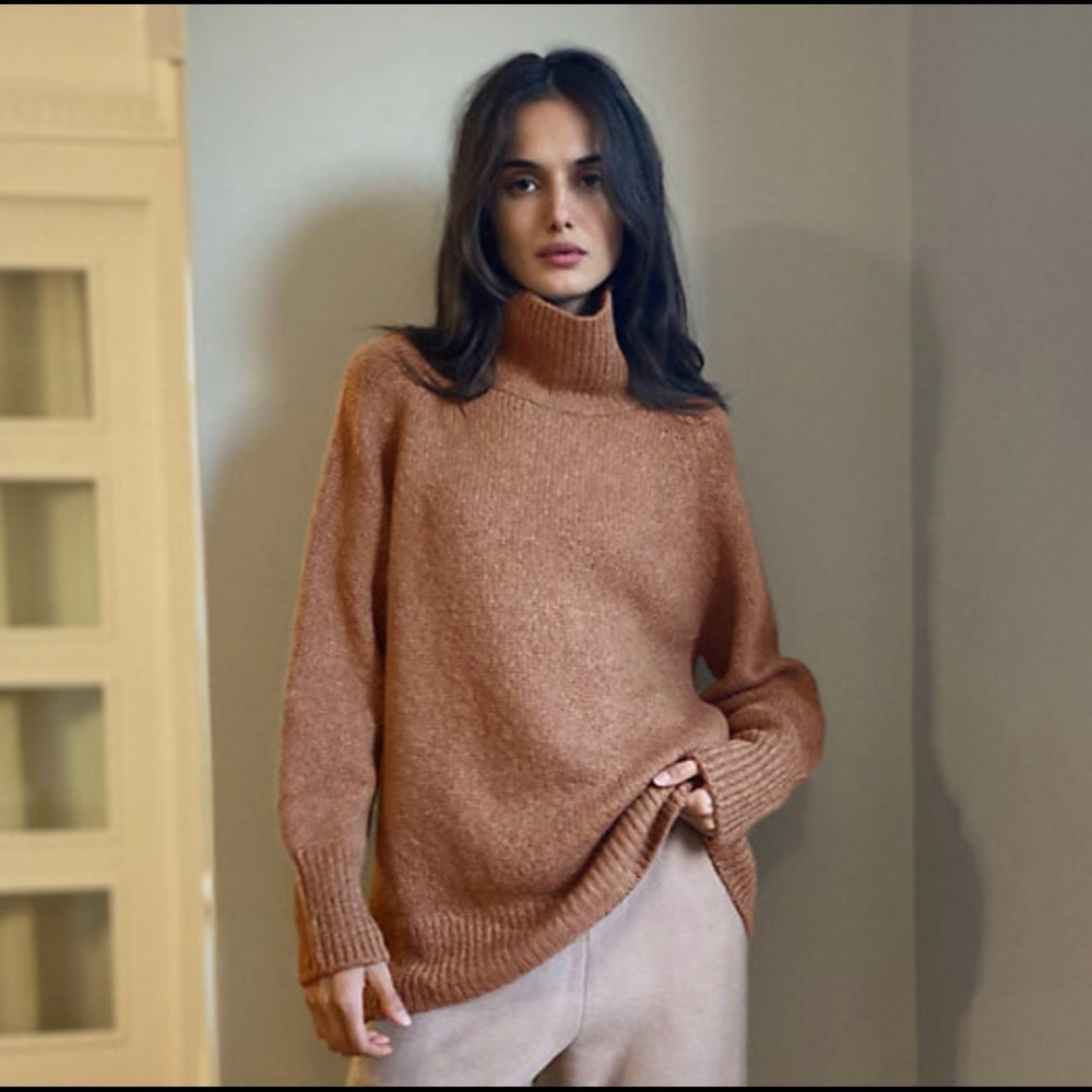 Aritzia Day Off Turtleneck